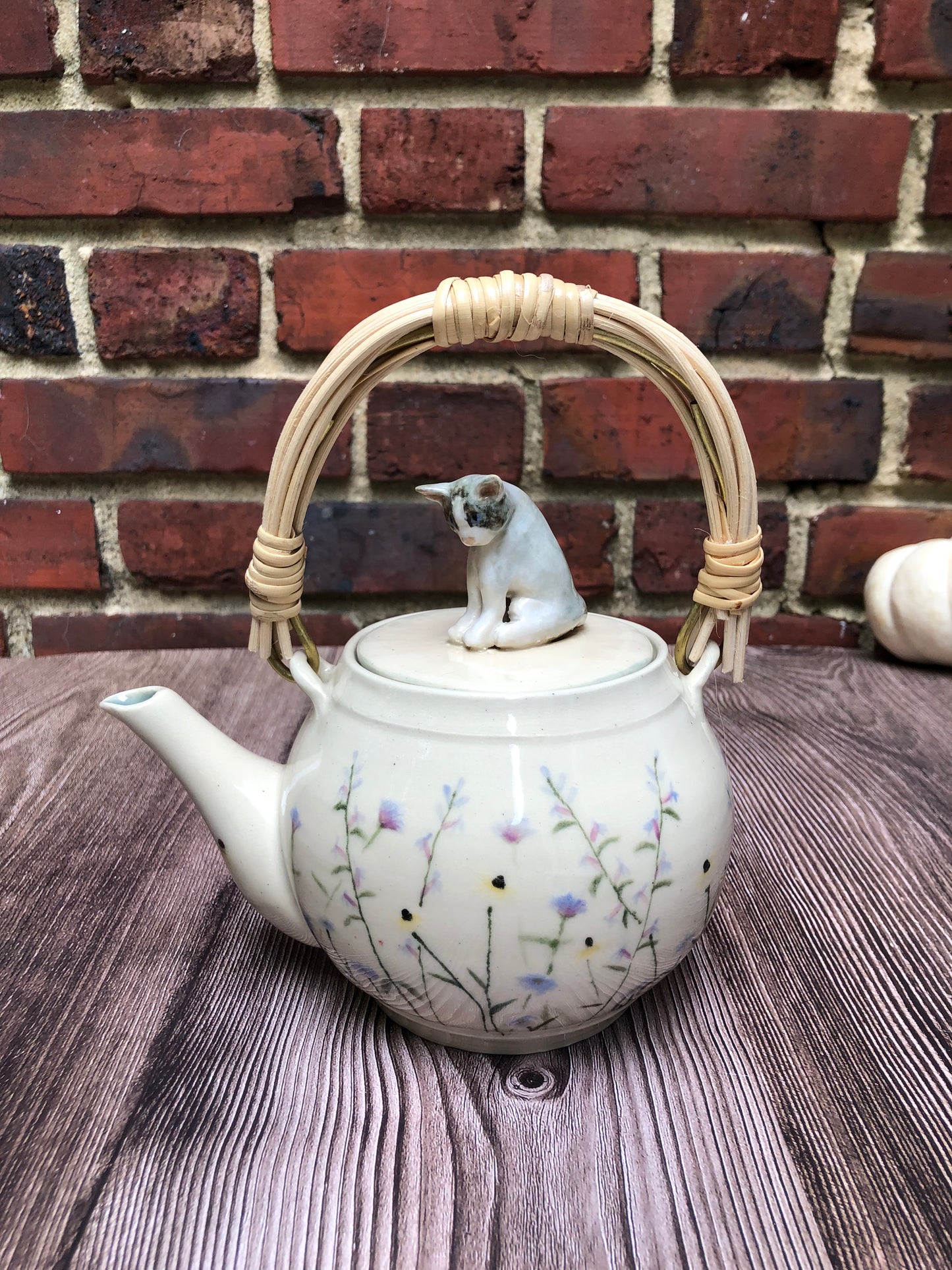 Wildflower Fields Collection Ragdoll Cat Teapot